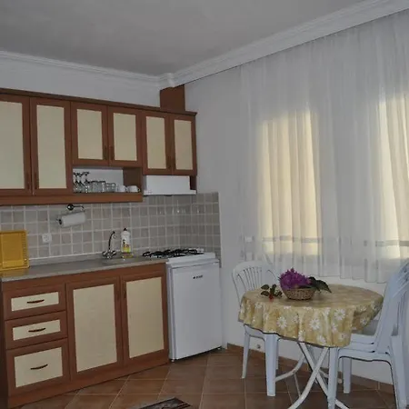 公寓式酒店 Dogan 戈西克